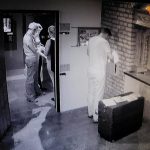 fox in a box - München - Bild 1 von 3