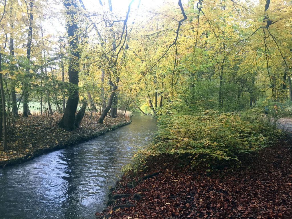 Englischer Garten - Nordteil - München - Bild 3 von 5