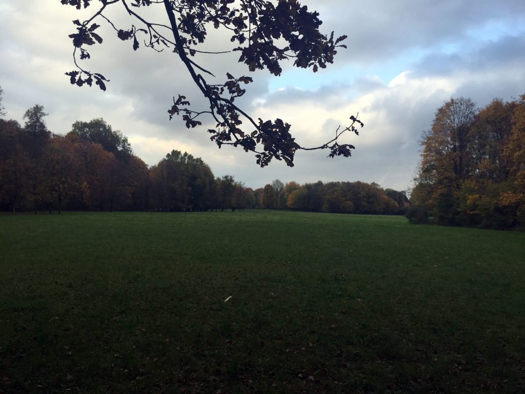 Englischer Garten - Nordteil - München - Bild 2 von 5