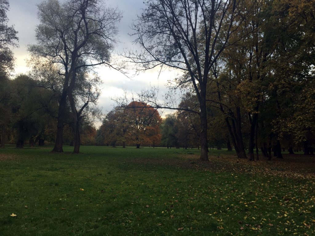 Englischer Garten - Nordteil - München - Bild 5 von 5